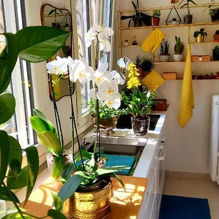 La Casa Degli Specchi Apartmán *