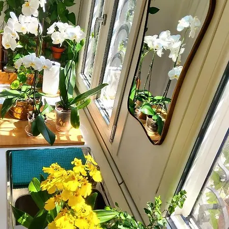 La Casa Degli Specchi Lägenhet *
