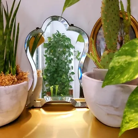 Appartamento La Casa Degli Specchi *