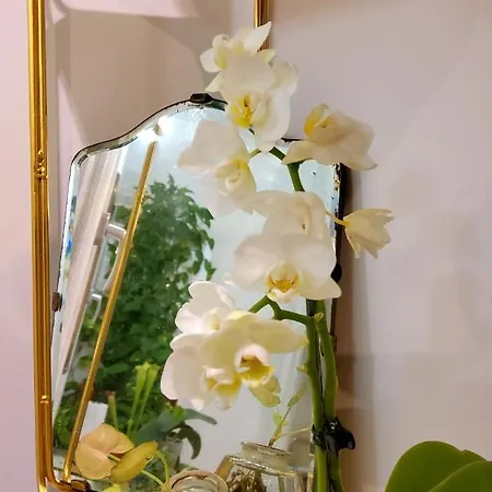 La Casa Degli Specchi *