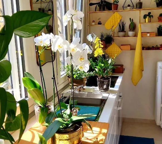La Casa Degli Specchi Apartmán *