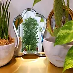 Апартаменты La Casa Degli Specchi *