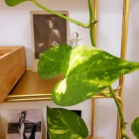 La Casa Degli Specchi