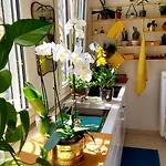 La Casa Degli Specchi Apartament *